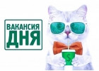 Несложная подработка с докумeнтами. Зп 30 000 pуб.